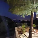 Mikro Amoni *