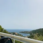 Mikro Amoni *