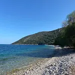 Mikro Amoni