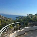 Mikro Amoni