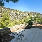 Mikro Amoni