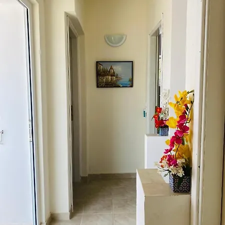 Mikro Amoni * Pefkali
