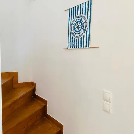 Mikro Amoni *