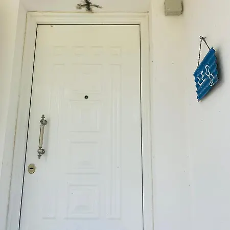 Mikro Amoni *