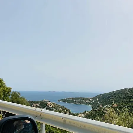 Mikro Amoni *