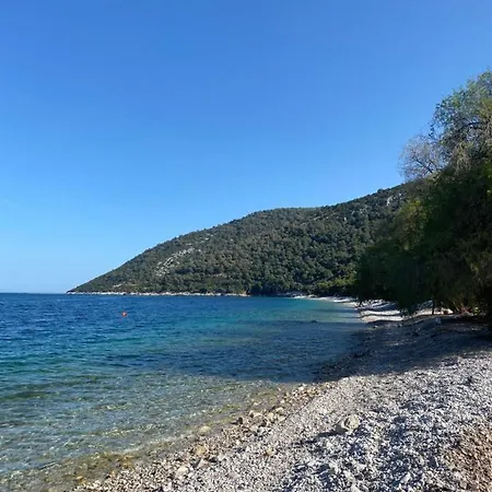 Mikro Amoni