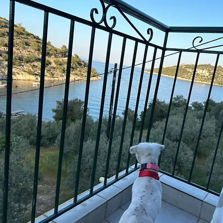 Tatil Evi Mikro Amoni