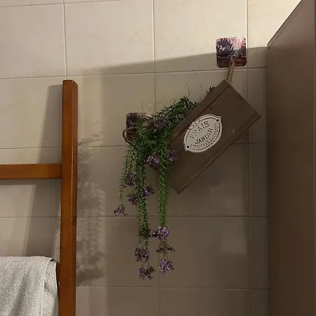 Mikro Amoni Semesterbostad Pefkali
