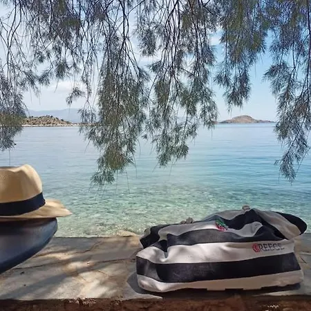 Tatil Evi Mikro Amoni *