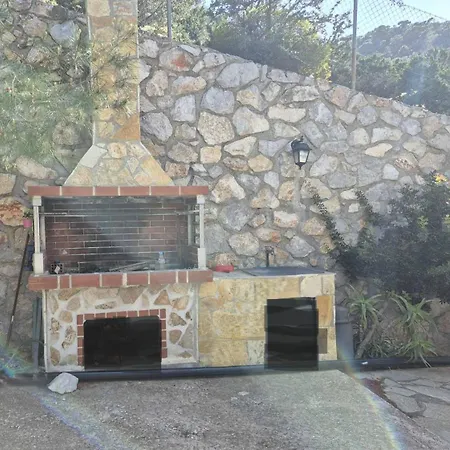 Mikro Amoni