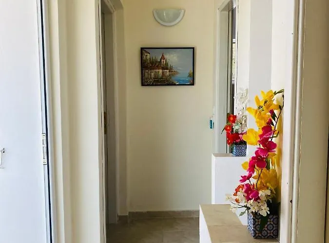 Mikro Amoni * Pefkali