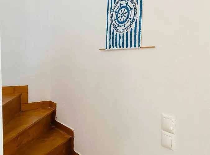 Mikro Amoni *
