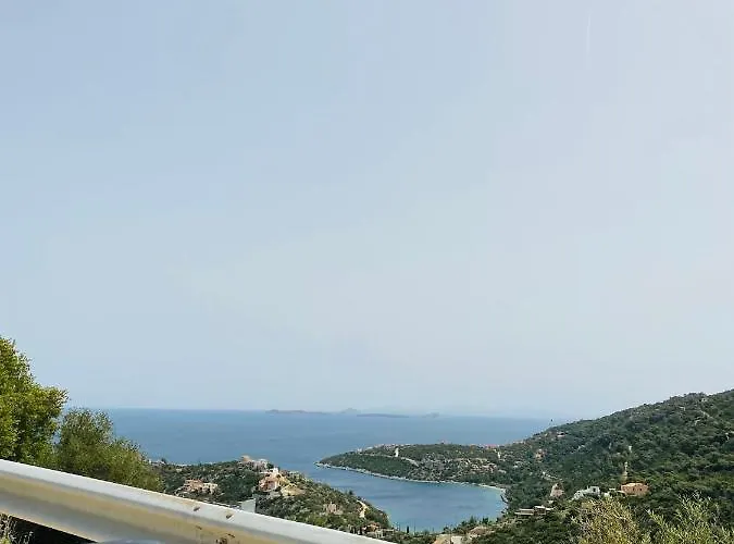 Mikro Amoni *