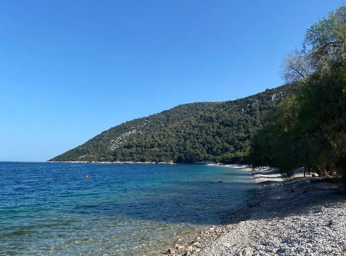 Mikro Amoni